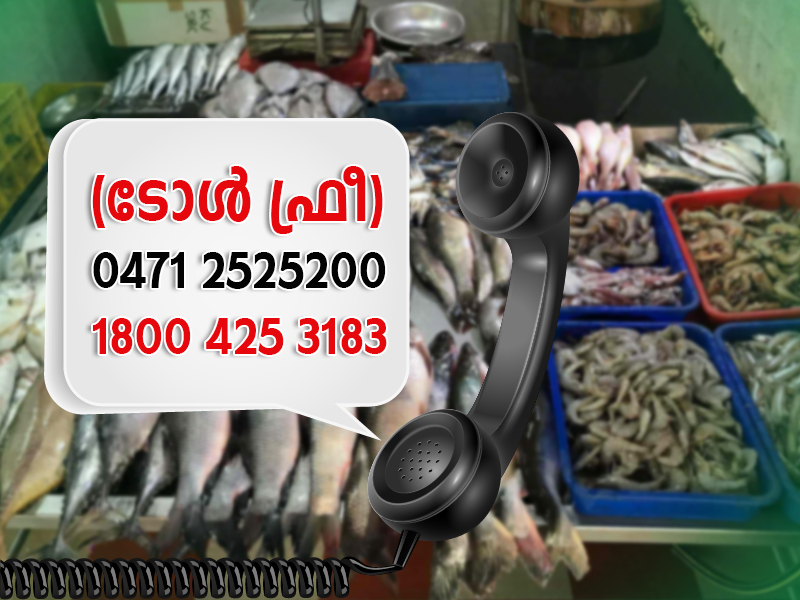 Have a complaint about fish sales? Inform the Fisheries Call Centre